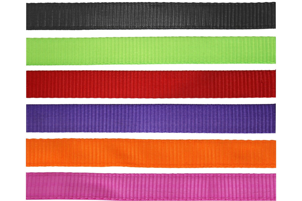 Flair Heavy Duty Nylon Web Halter - 2