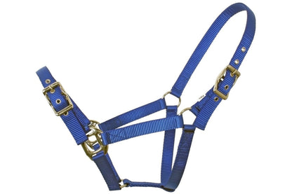 Flair Heavy Duty Nylon Web Halter - Royal Blue