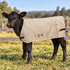 Flair Jute Calf Cover