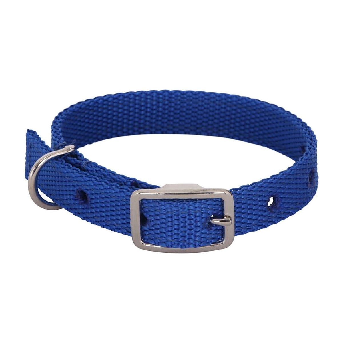 Flair Lamb Collar in royal blue