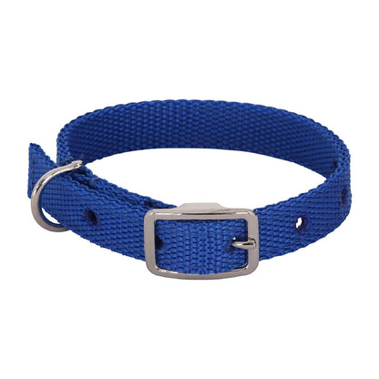 Flair Lamb Collar in royal blue
