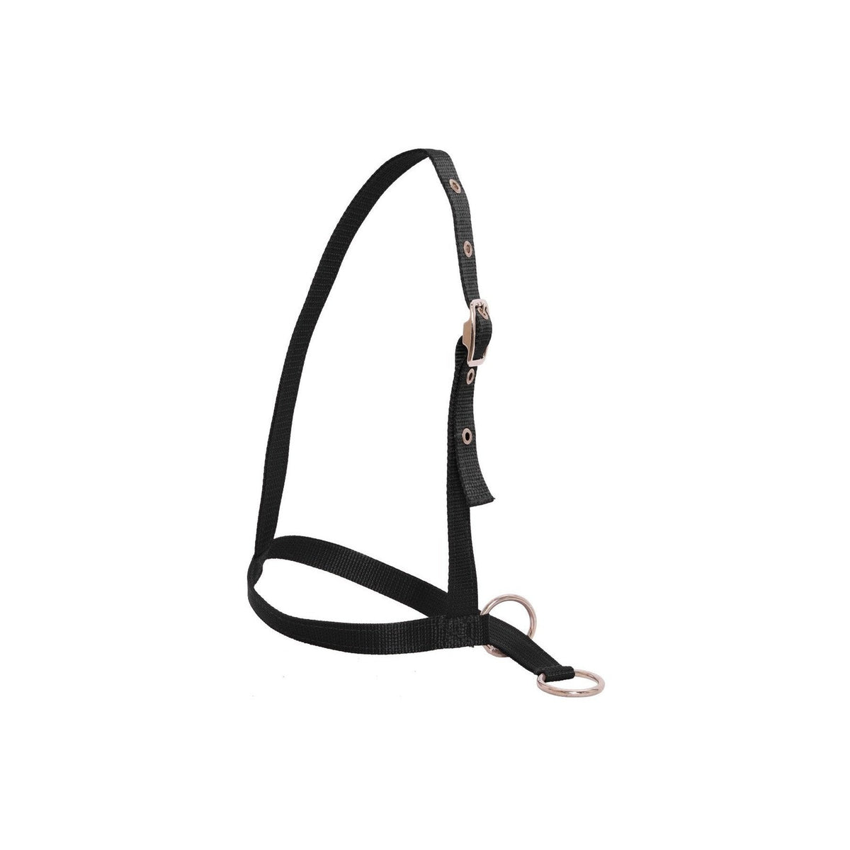 Flair Leading Calf Halter - Black