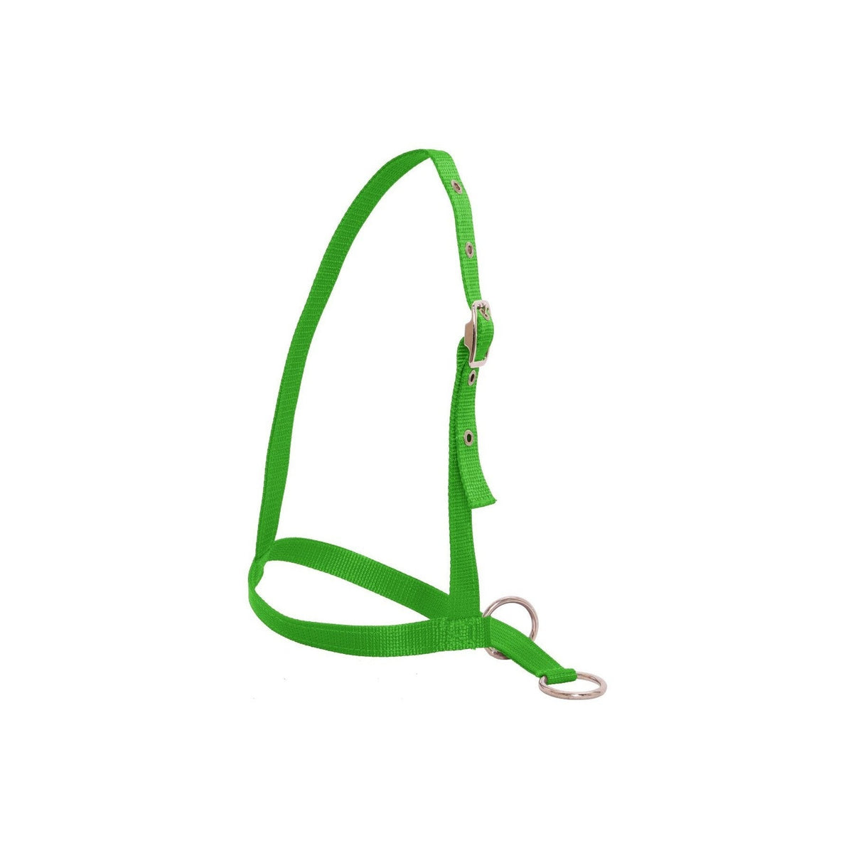Flair Leading Calf Halter - Neon Green