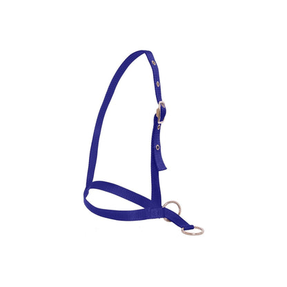 Flair Leading Calf Halter - Purple