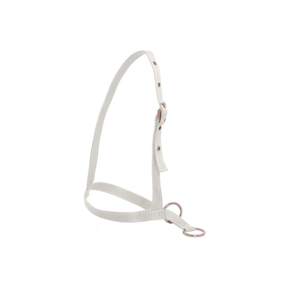 Flair Leading Calf Halter - White