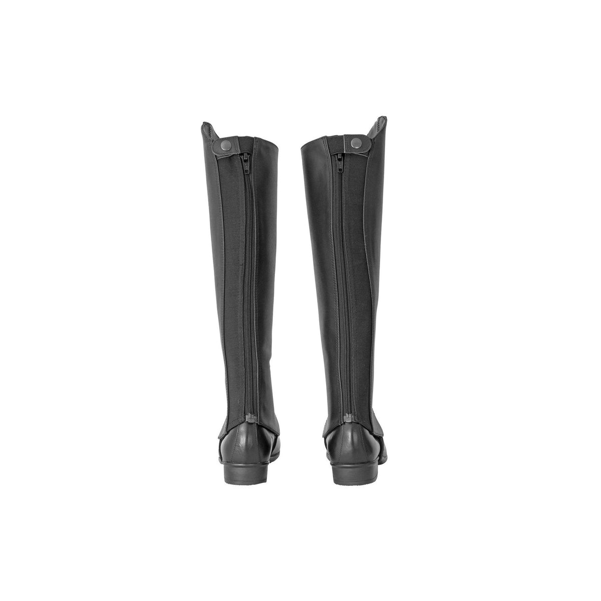 Flair Leather Show Gaiters - 2