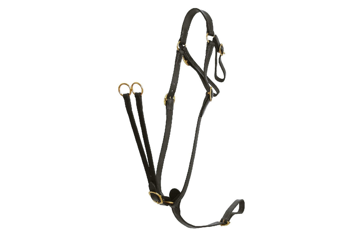 Flair Martingale Breastplate - Black