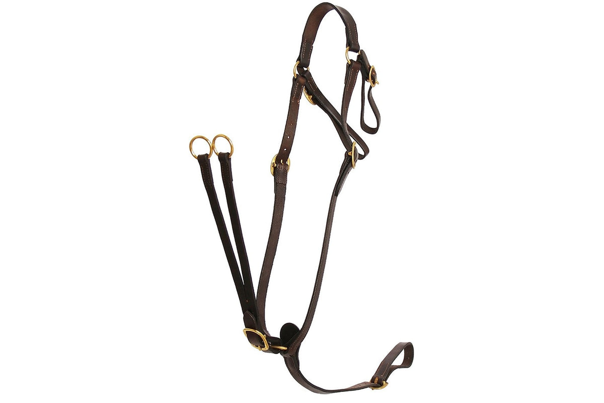 Flair Martingale Breastplate - Brown