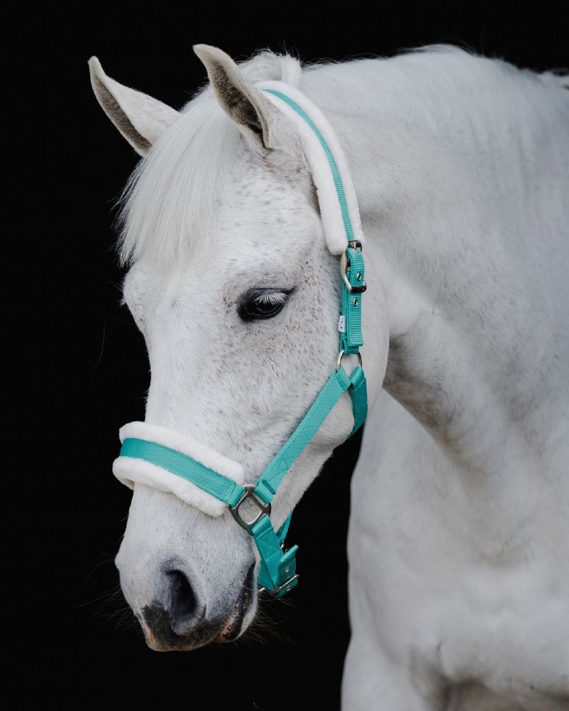 Flair Plush Halter - 2