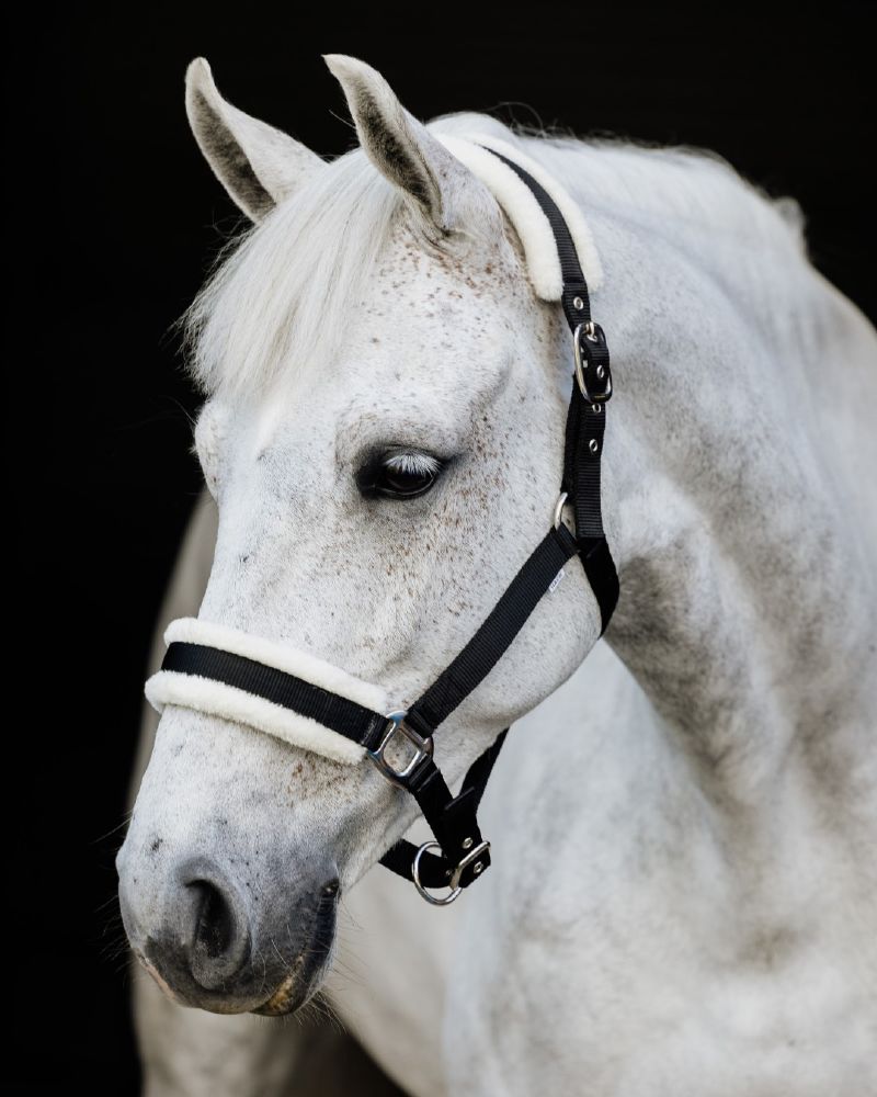 Flair Plush Halter - 3
