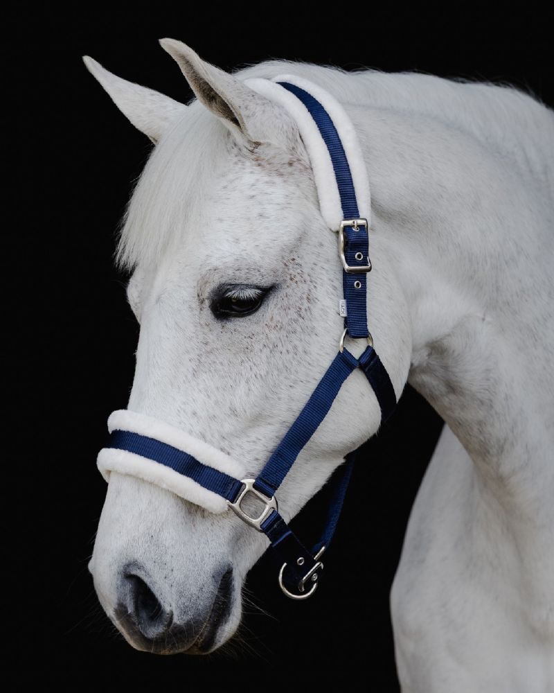 Flair Plush Halter