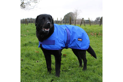 Flair Roxburgh Dog Coat - 2