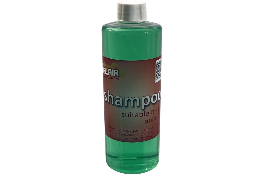 Flair Shampoo