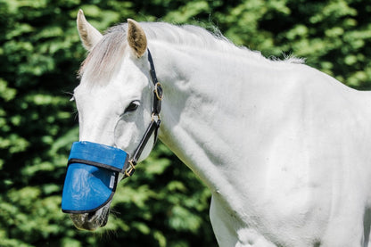 Flair Sola Shade Nose Guard - 3