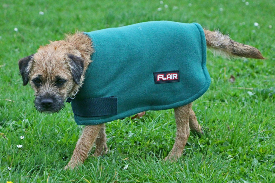 Flair Stirling Polar Fleece Dog Coat - 2