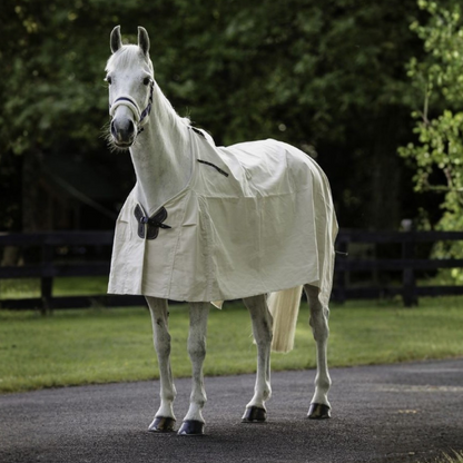 Flair Summer Cotton Rug - 2