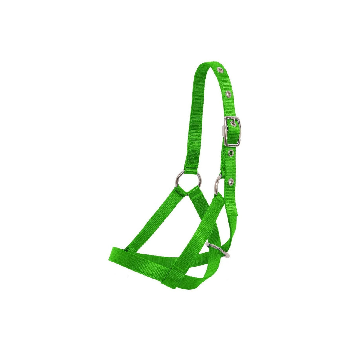 Flair Tethering Calf Halter - 3