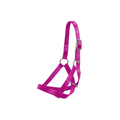 Flair Tethering Calf Halter - 4
