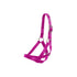 Flair Tethering Calf Halter - 4