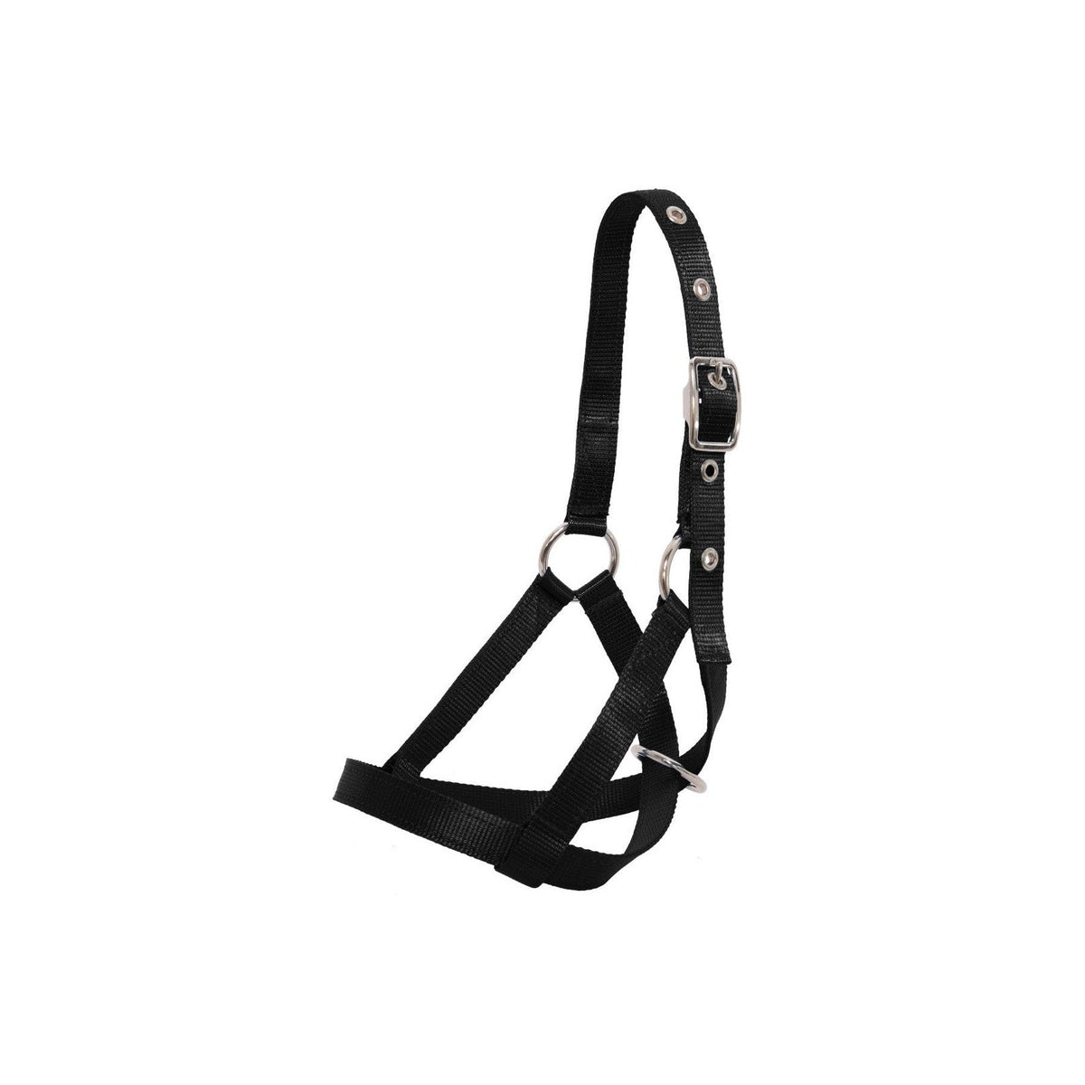 Flair Tethering Calf Halter - Black
