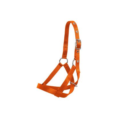 Flair Tethering Calf Halter - Orange
