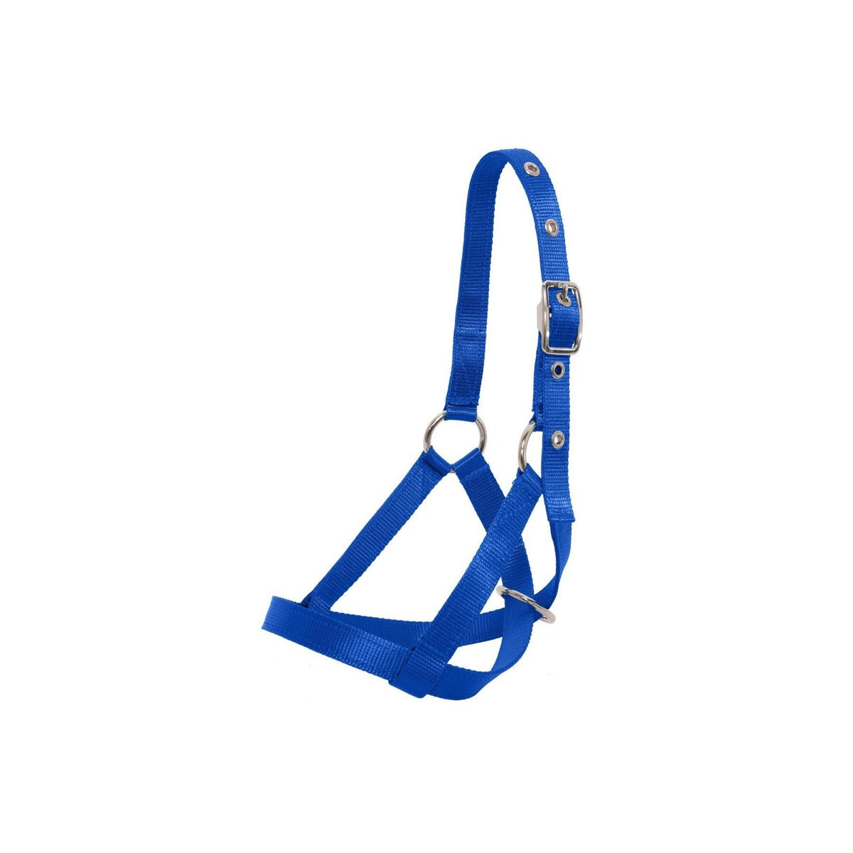 Flair Tethering Calf Halter - Royal Blue