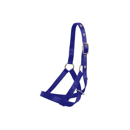 Flair Tethering Calf Halter
