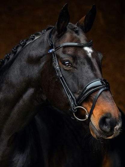 PS of Sweden Bridle Deluxe Flying Change