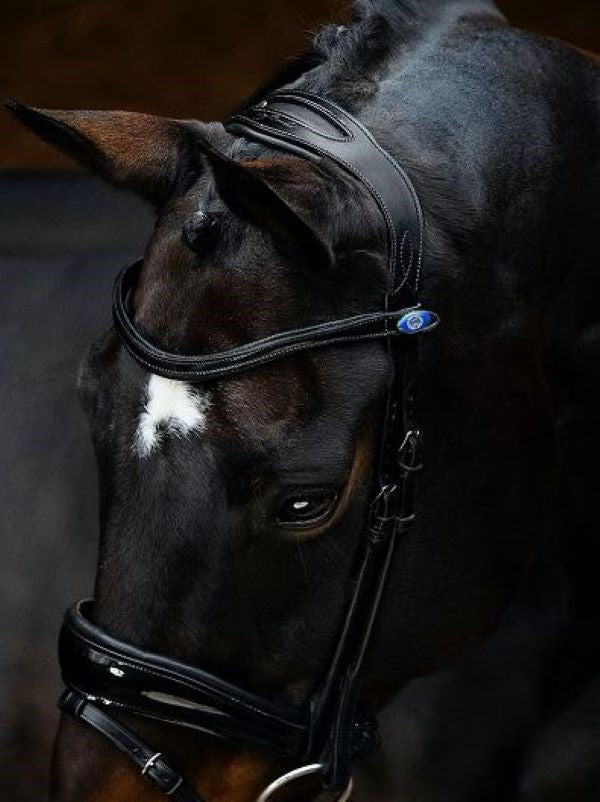 PS of Sweden Bridle Deluxe Flying Change