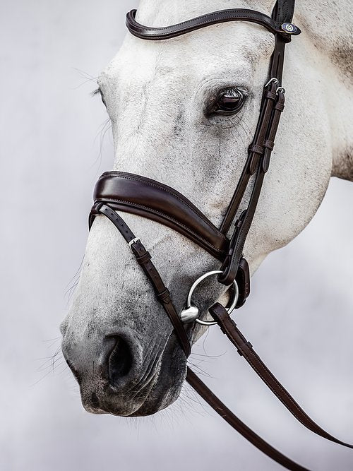 PS of Sweden Bridle Flying Change