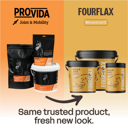 Fourflax Equine Bone &amp; Joint Powder - Transition