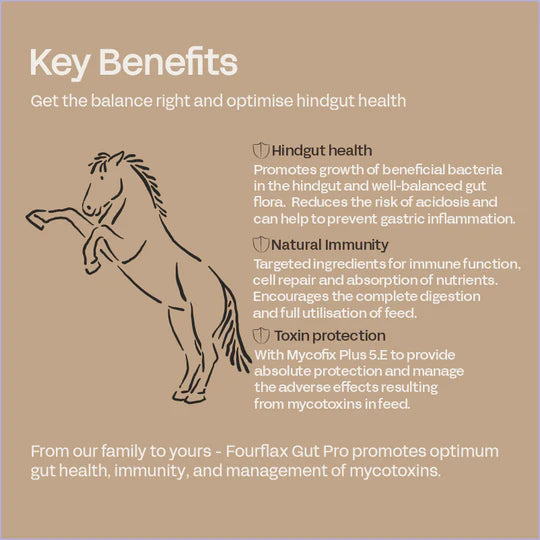 Fourflax Equine Gut Pro - Benefits