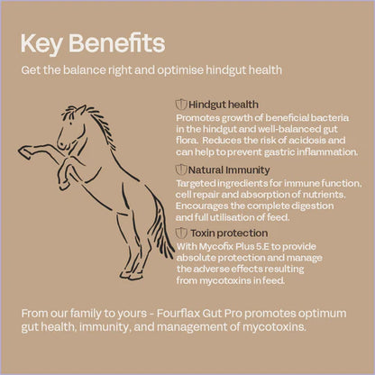 Fourflax Equine Gut Pro - Benefits