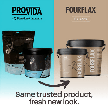 Fourflax Equine Gut Pro - Transition