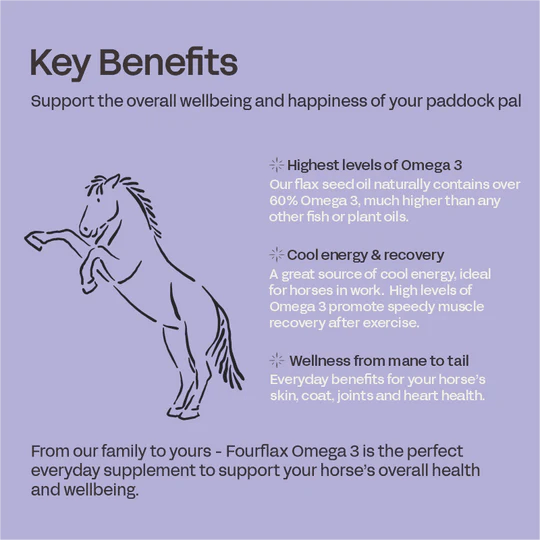 Fourflax Equine Omega 3 - Benefits