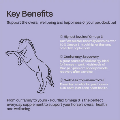 Fourflax Equine Omega 3 - Benefits