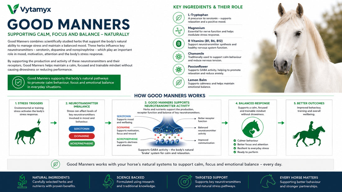 Vytamyx Equine Good Manners – the science infographic