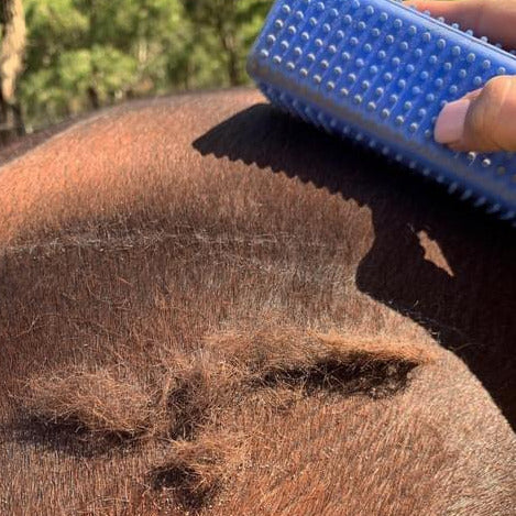 Hairy Pony Horse Grooming Block