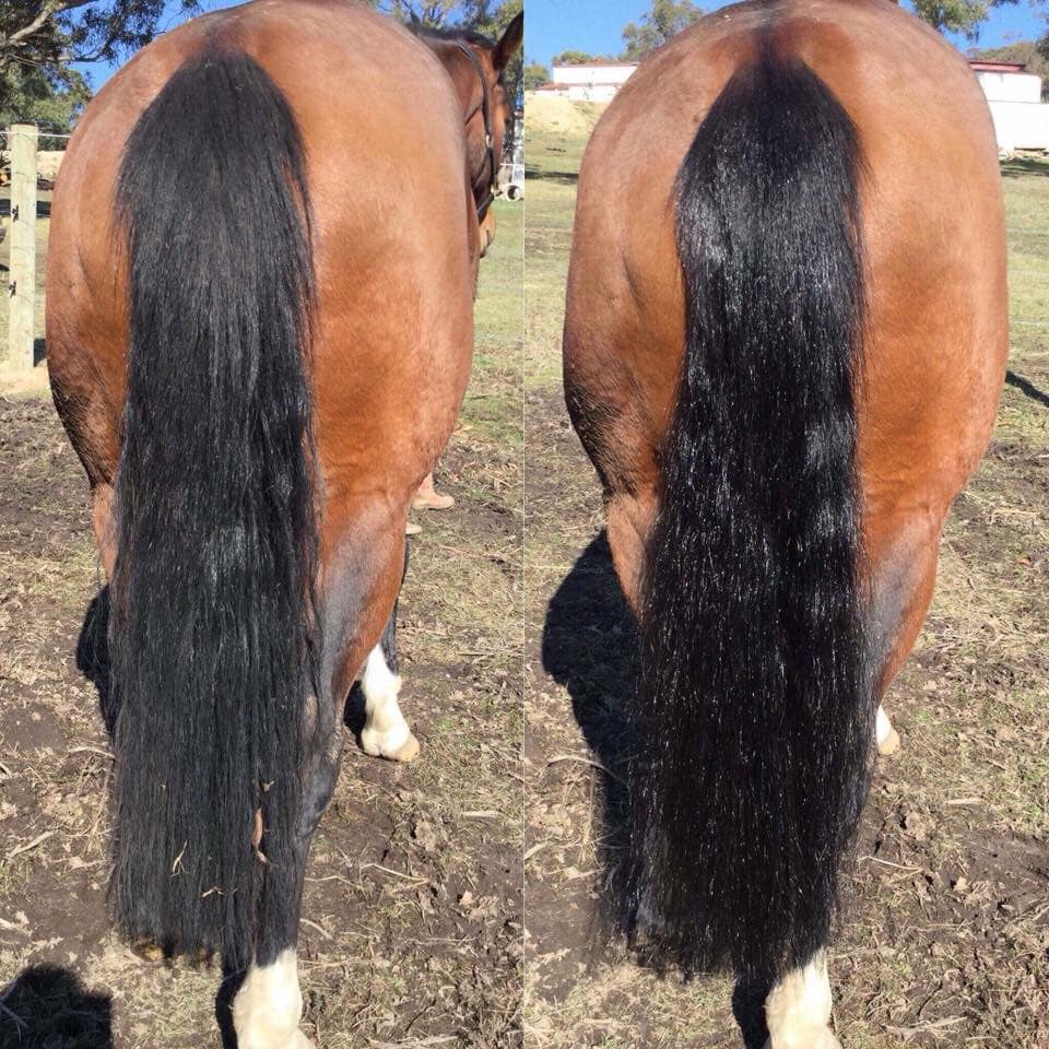 Hairy Pony 2 in 1 Detangle &amp; Shine Spray - 9