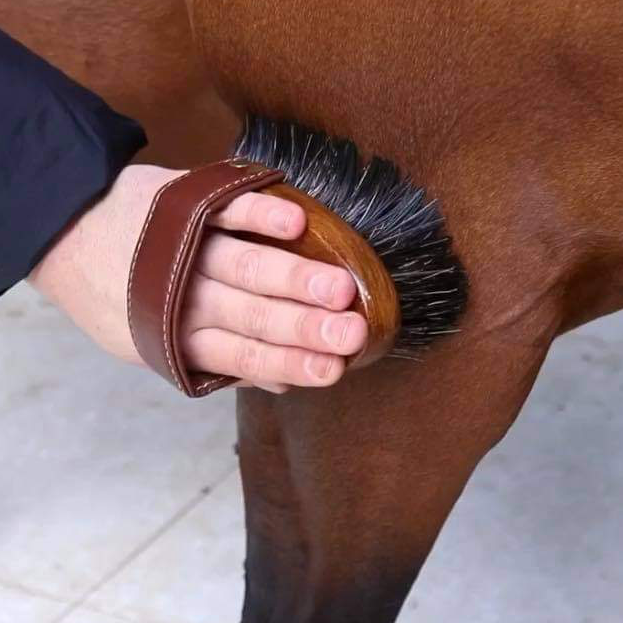 Hairy Pony Dandy Brush - 3