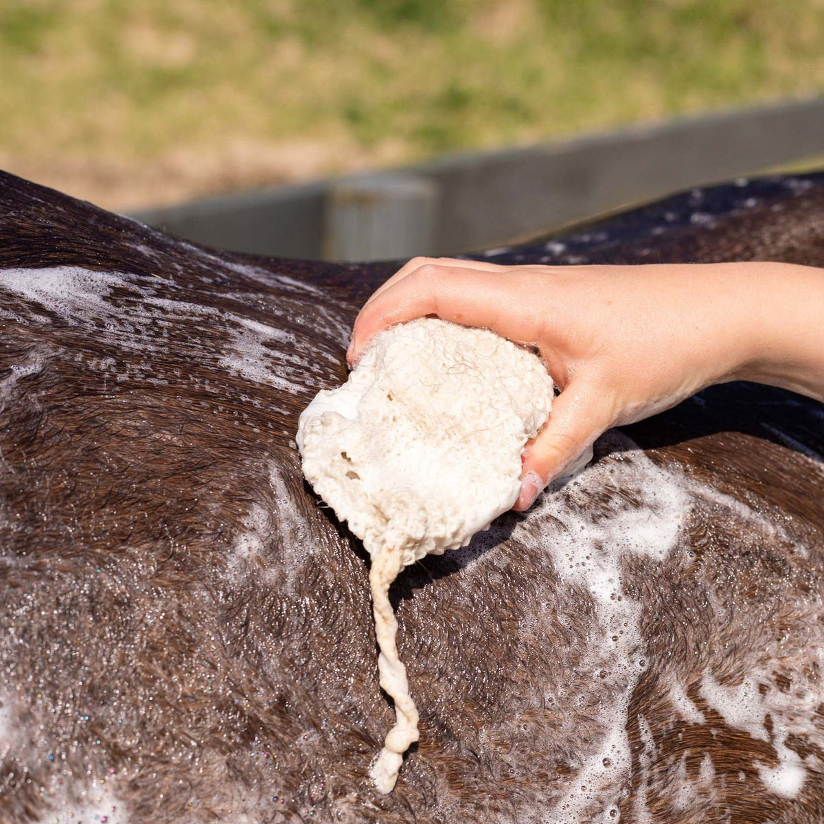 Hairy Pony Eco-Friendly Original Shampoo Bar - 6