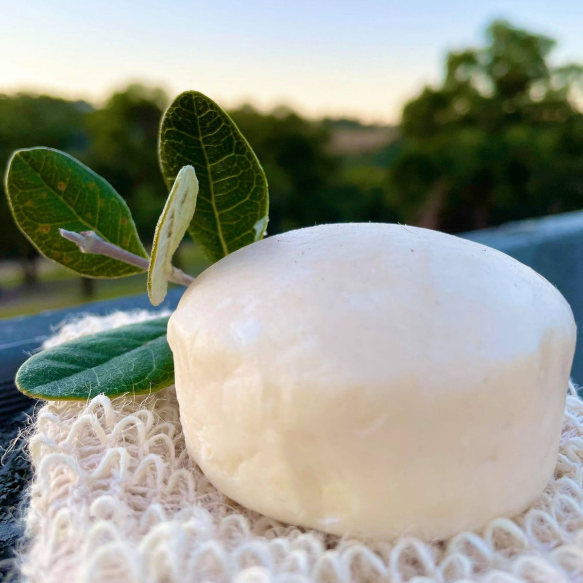 Hairy Pony Eco-Friendly Original Shampoo Bar - 8