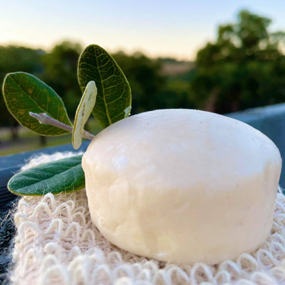 Hairy Pony Eco-Friendly Original Shampoo Bar - 8