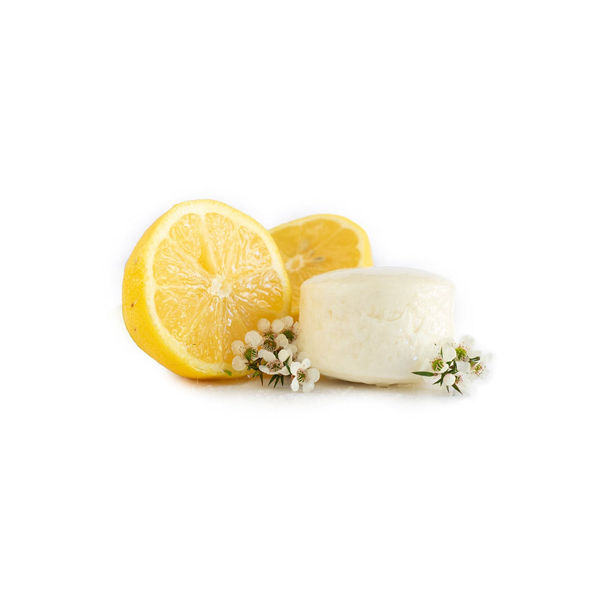 Hairy Pony Eco-Friendly Original Shampoo Bar - Tea Tree Lemon Myrtle