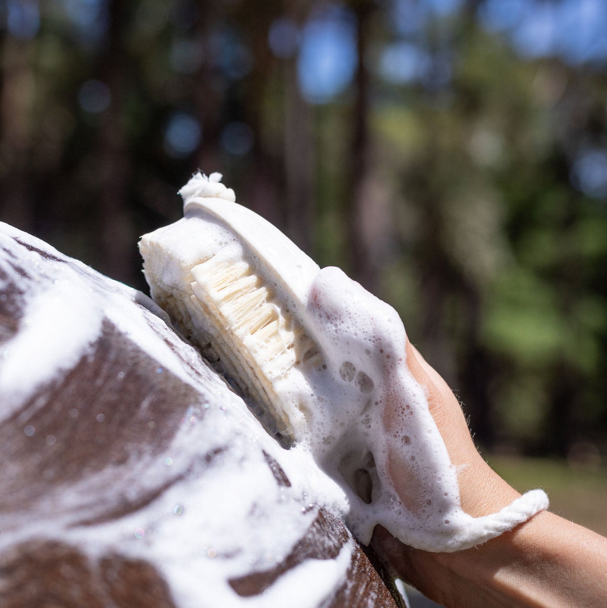 Hairy Pony Essential Wash Bay Kit - Brush