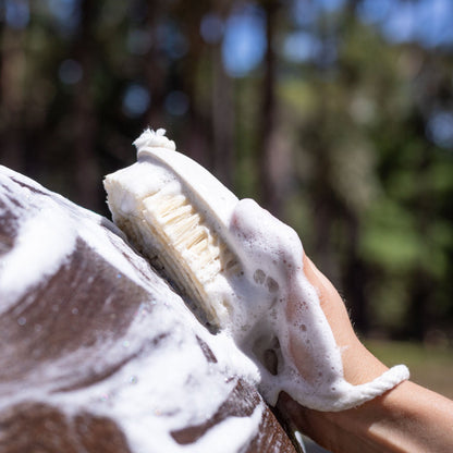 Hairy Pony Essential Wash Bay Kit - Brush