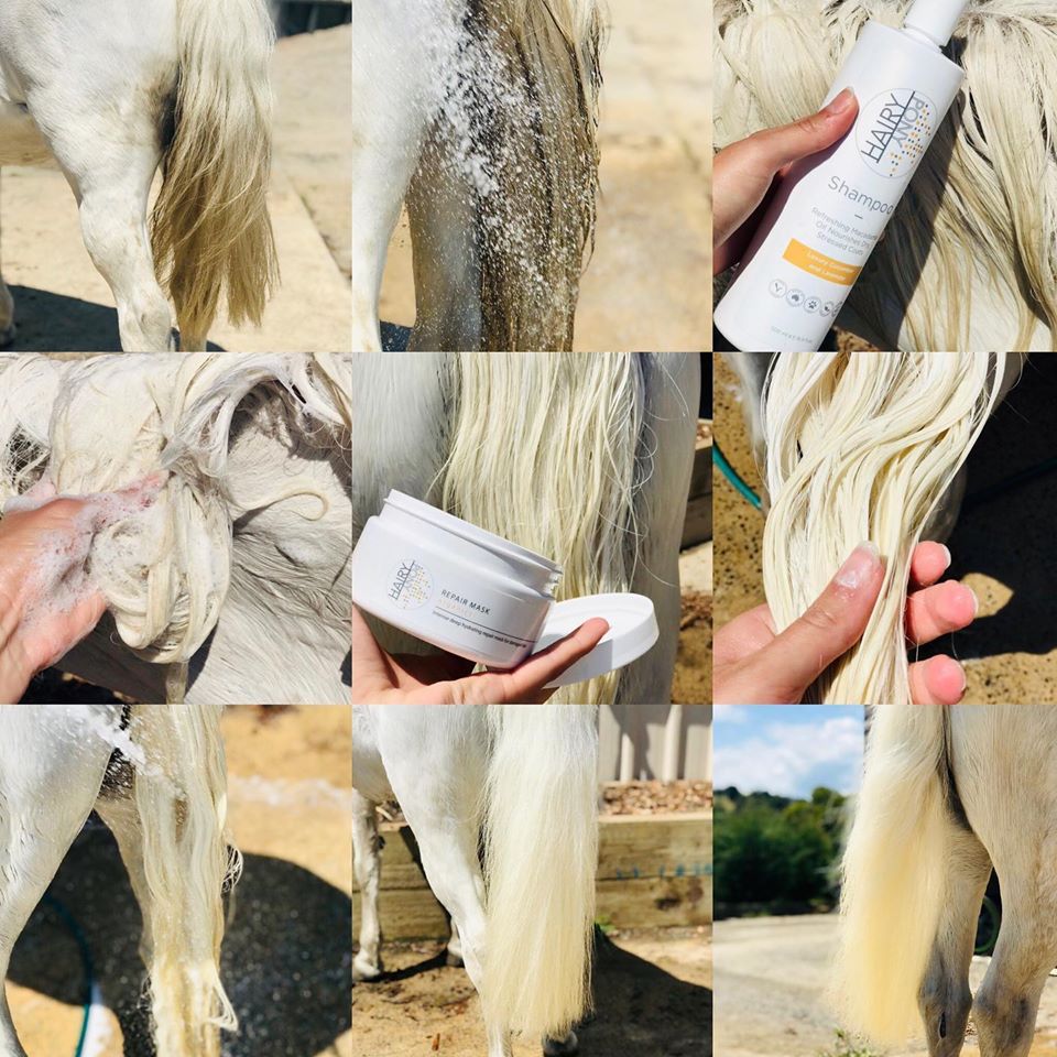 Hairy Pony Hair Repair - 2
