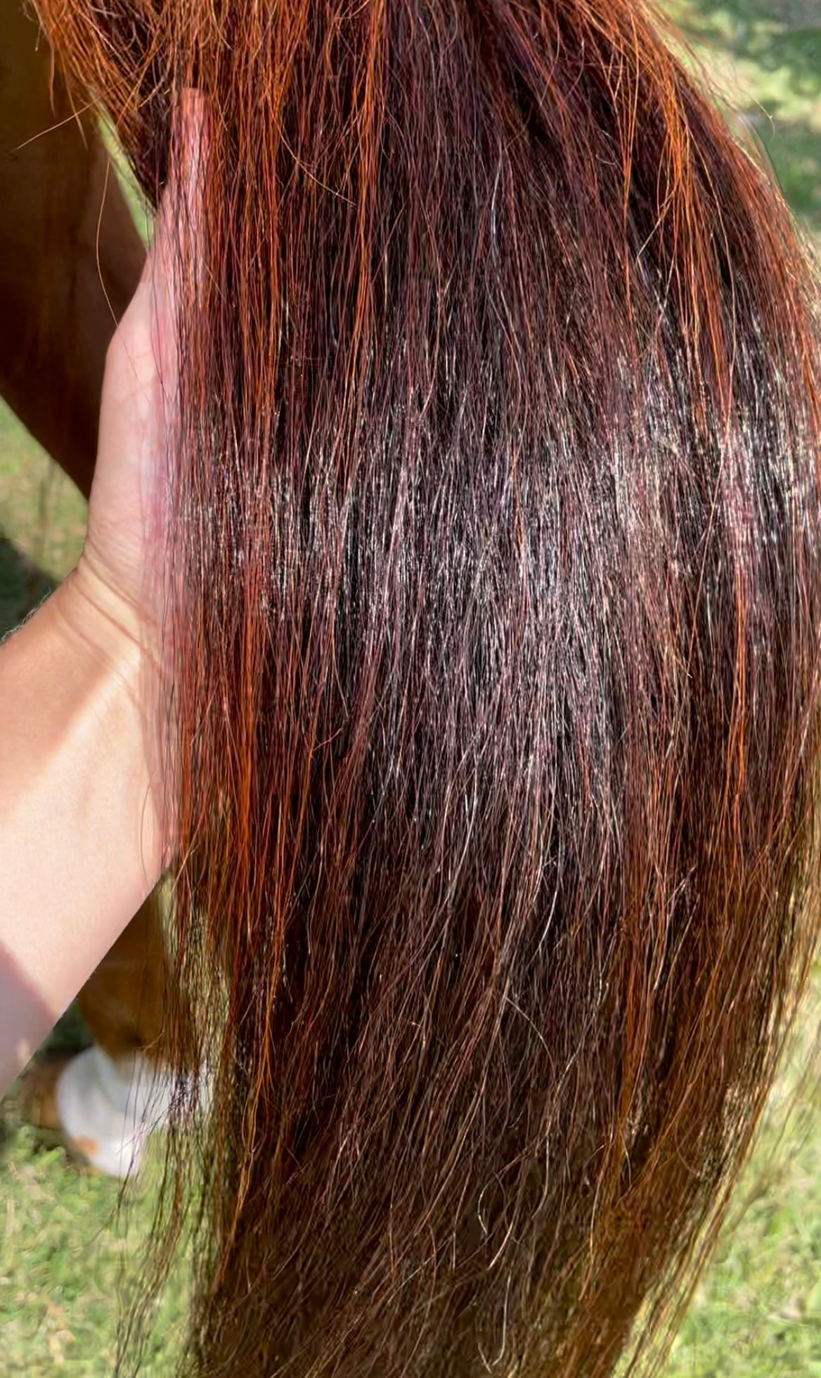 Hairy Pony Horse Silky Serum - 3