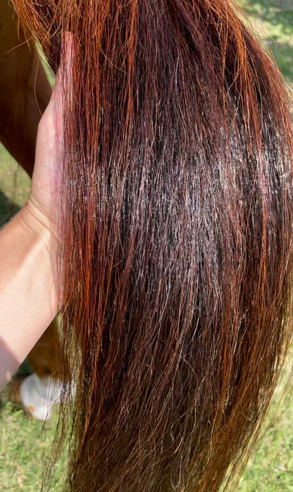 Hairy Pony Horse Silky Serum - 3