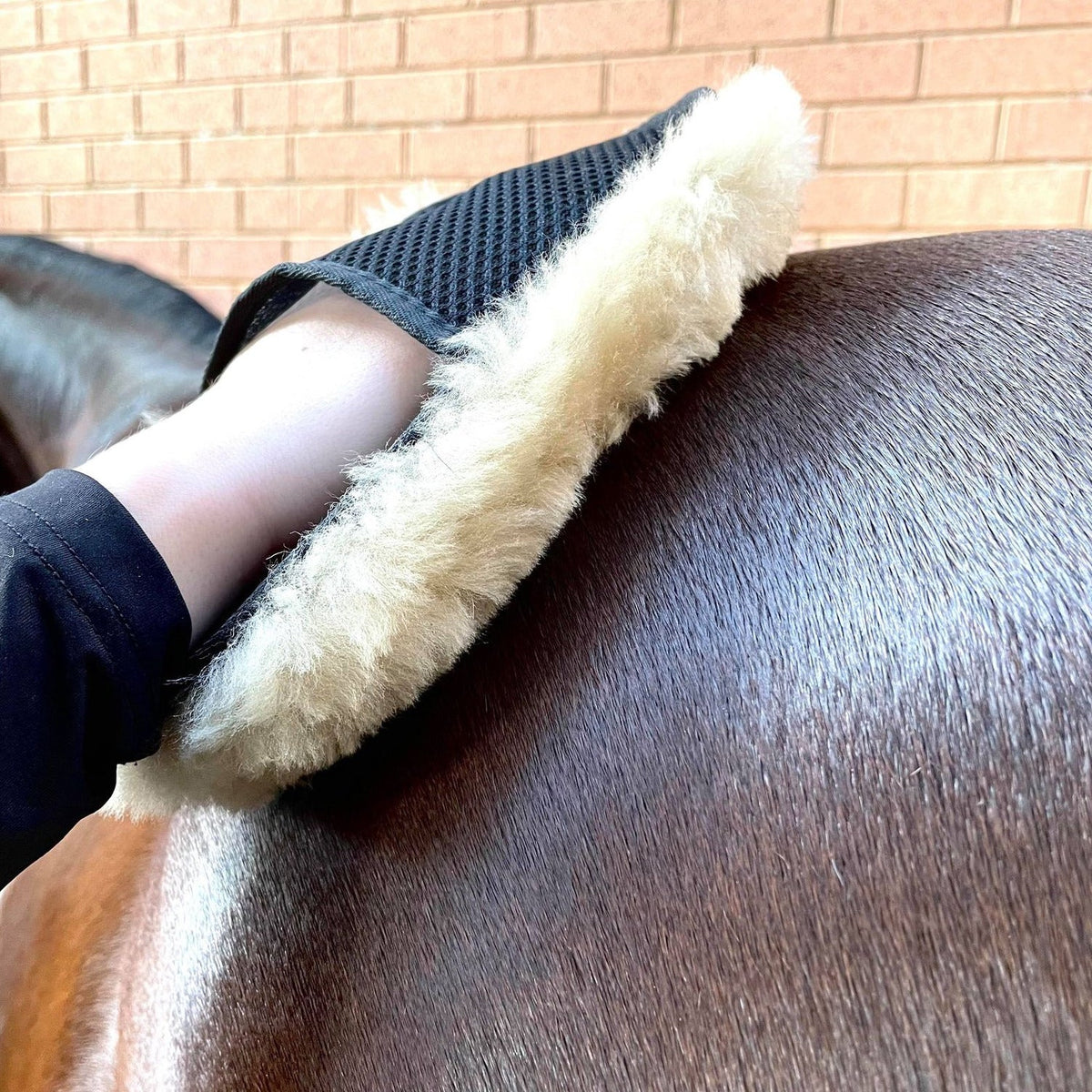 Hairy Pony Merino Wool Horse Polishing Mitt - 4